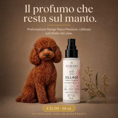 Almara Sillage — profumo Mango Pesca Premium, 30 ml