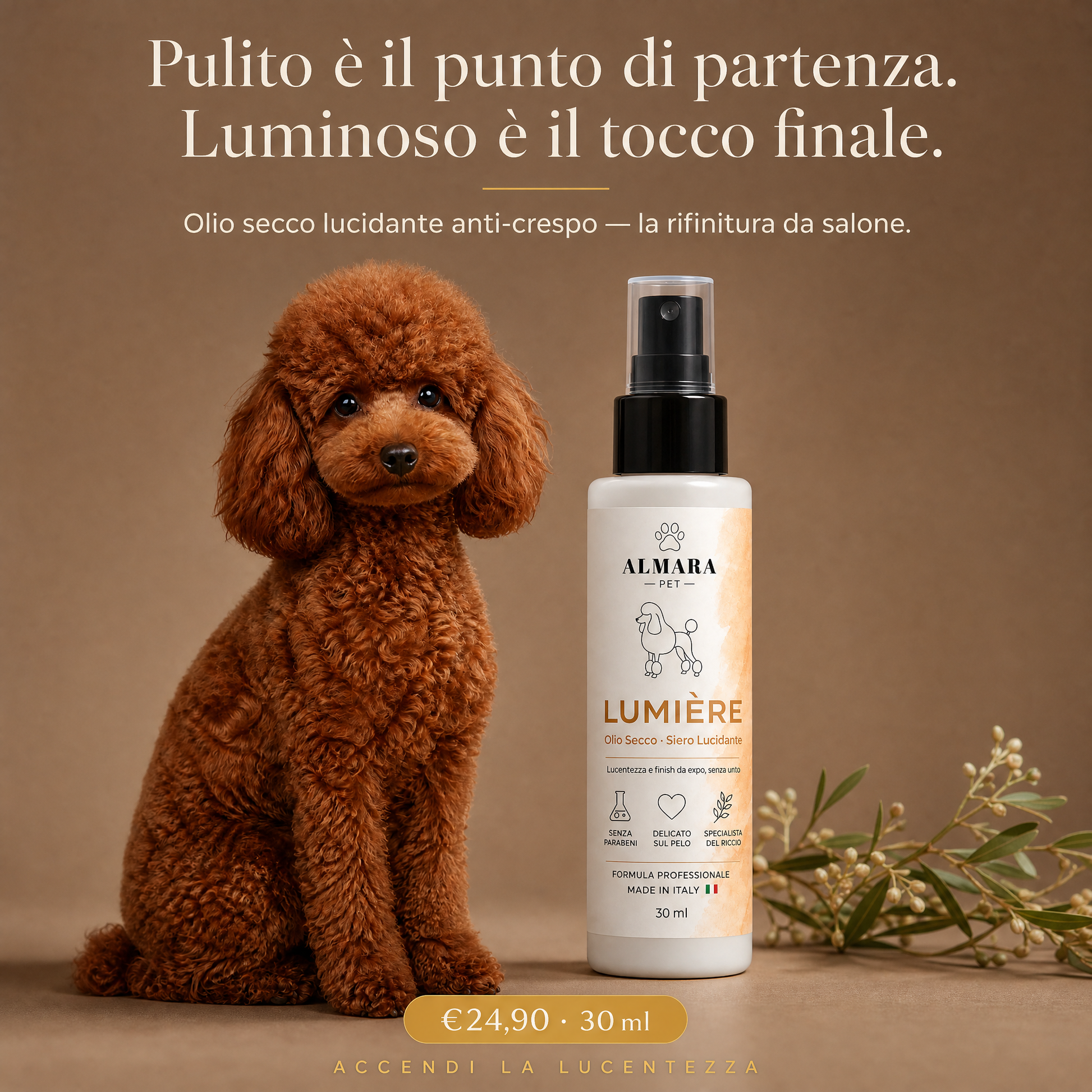 Almara Lumière — hero
