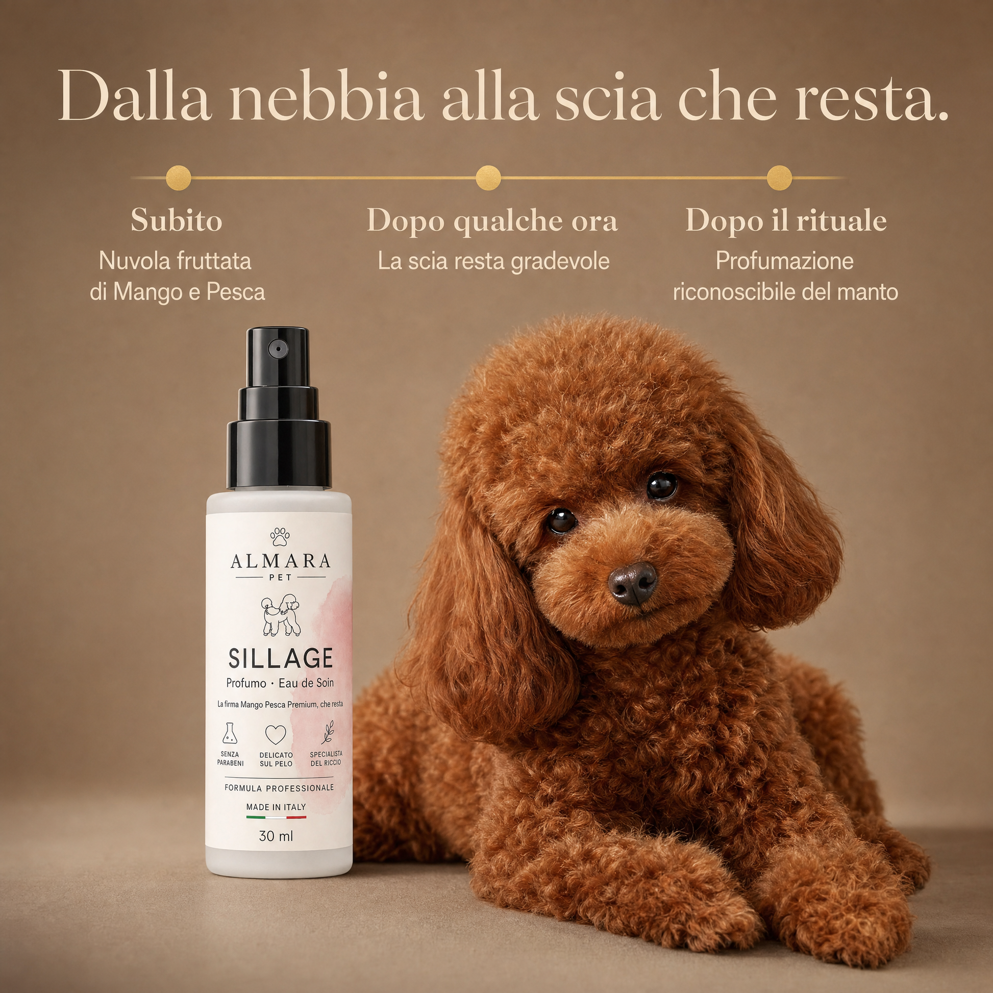 Almara Sillage — dalla nebbia alla scia che resta
