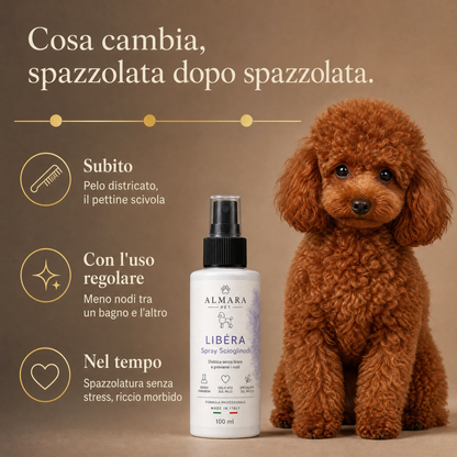 Almara Libéra — risultati nel tempo