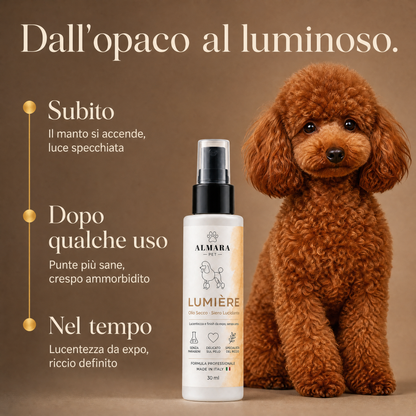 Almara Lumière — risultati nel tempo