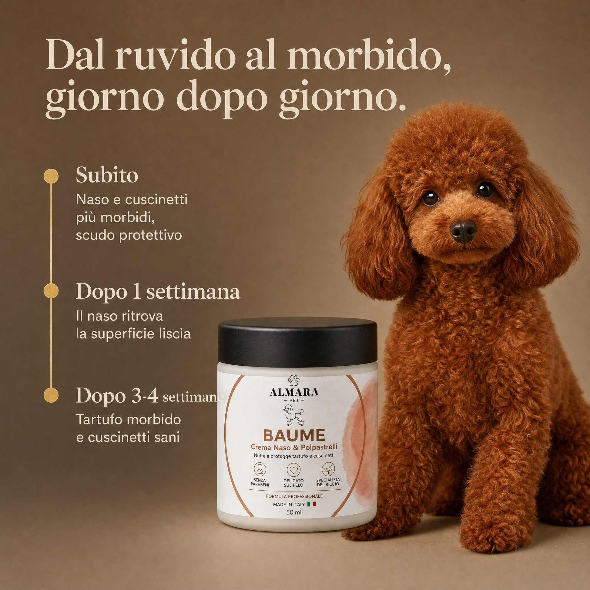 Almara Baume — risultati nel tempo