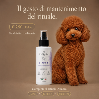 Almara Libéra — offerta