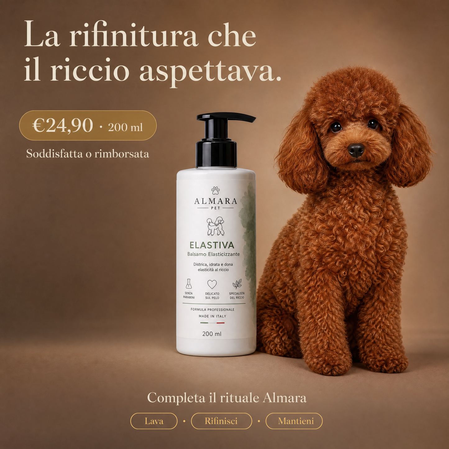 Almara Elastiva — offerta