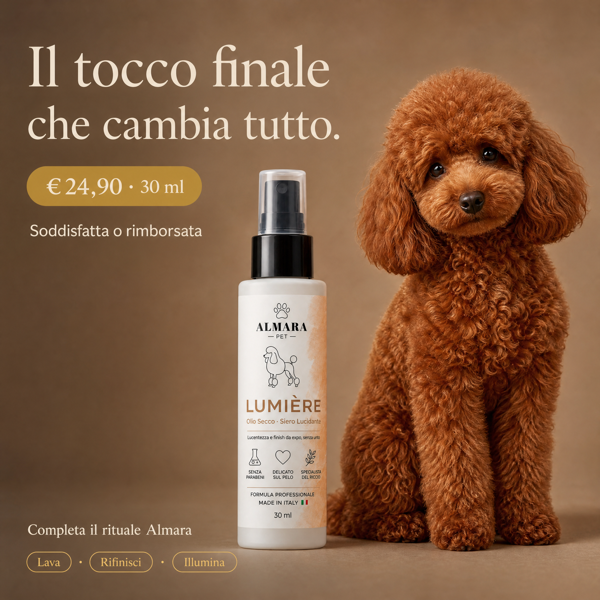 Almara Lumière — offerta