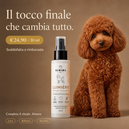Almara Lumière — offerta