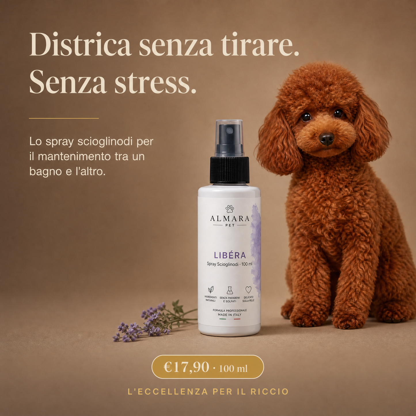 Almara libera — hero