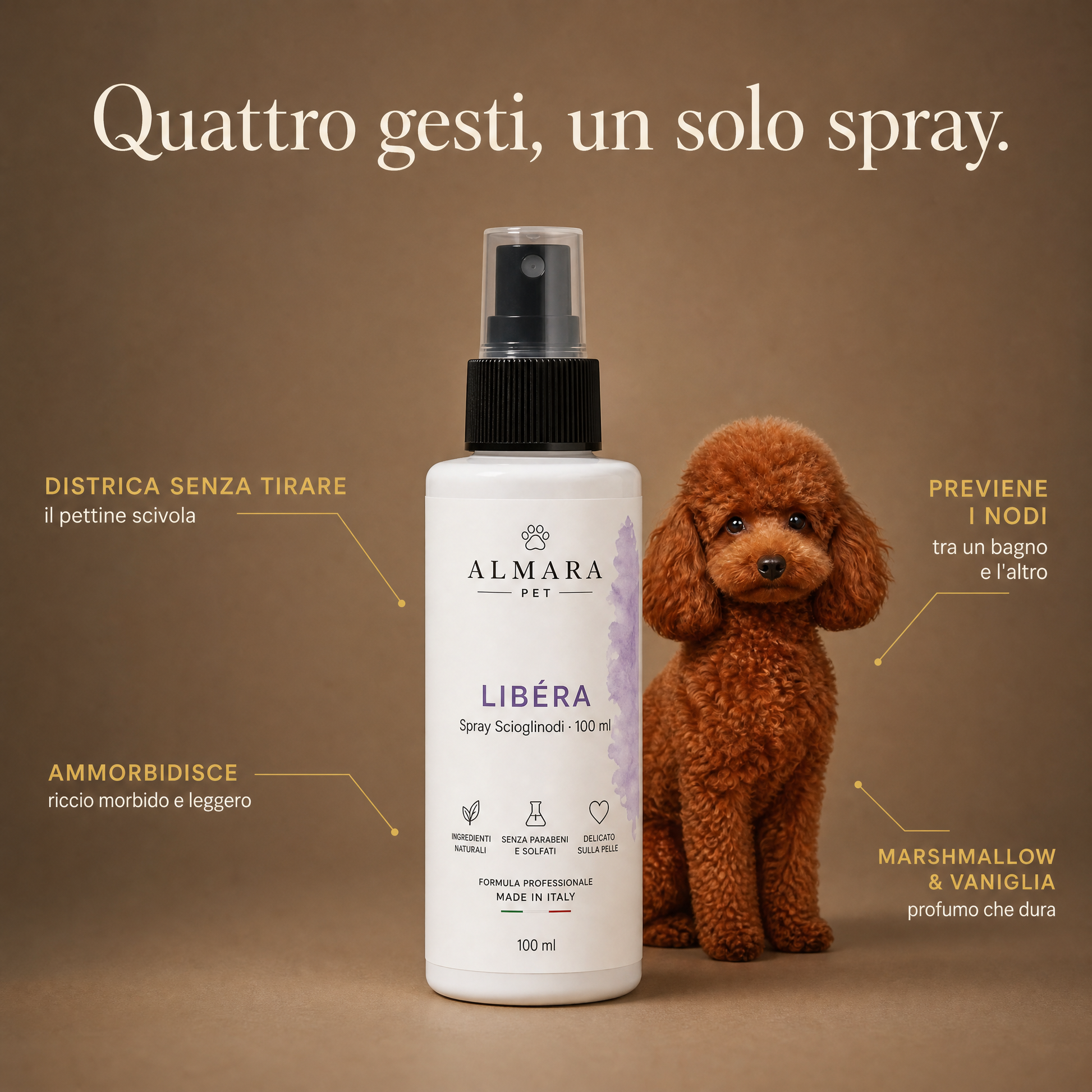 Almara libera — feature callout