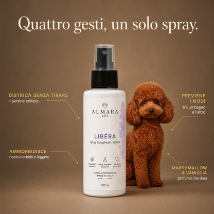 Almara libera — feature callout