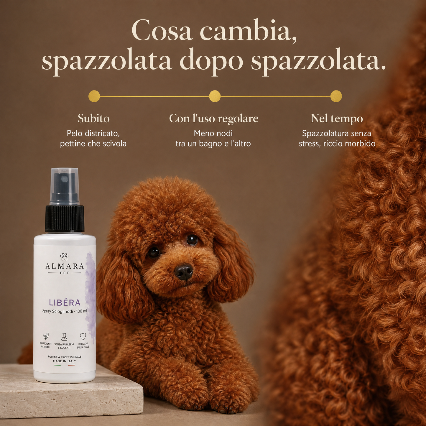Almara libera — timeline risultati