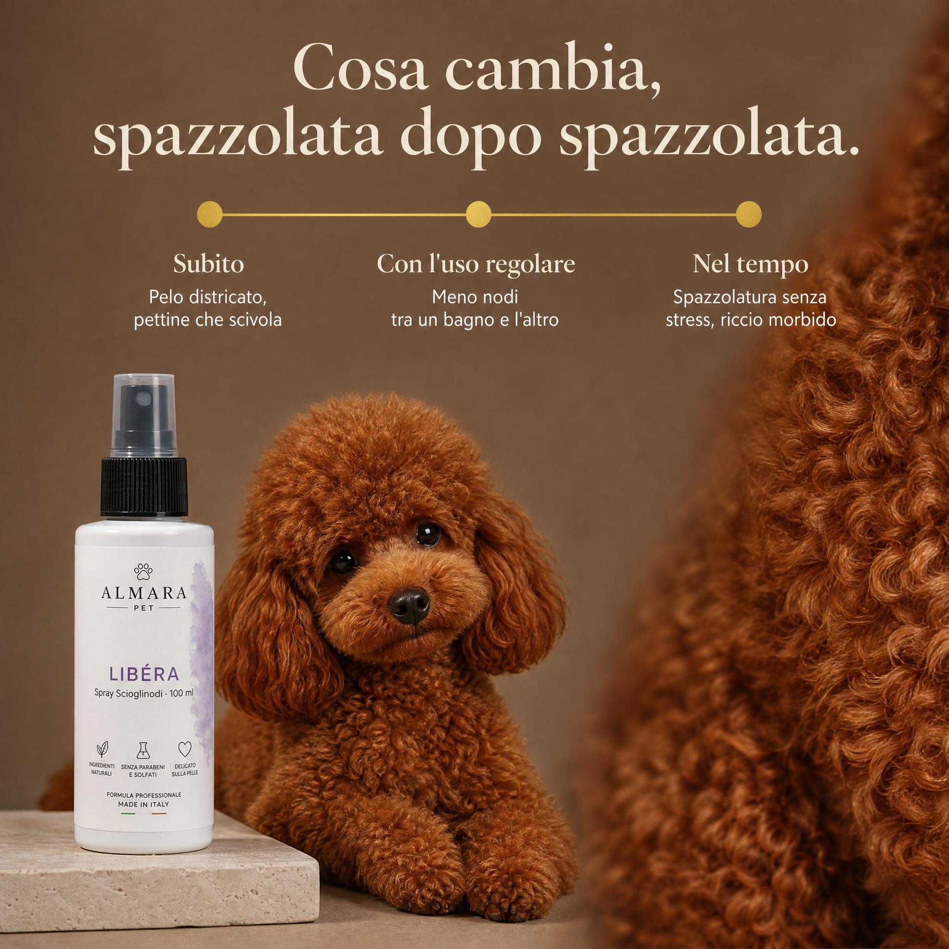 Almara libera — timeline risultati