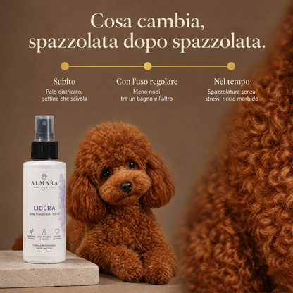 Almara libera — timeline risultati