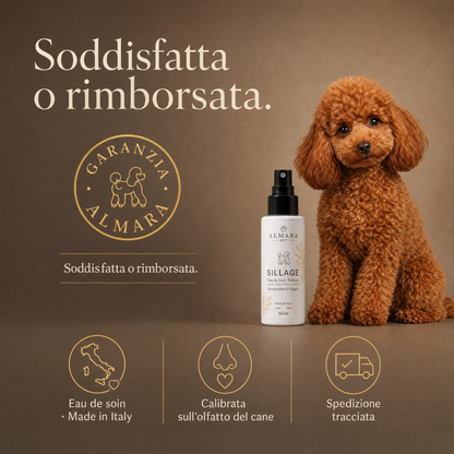 Almara sillage — timeline risultati