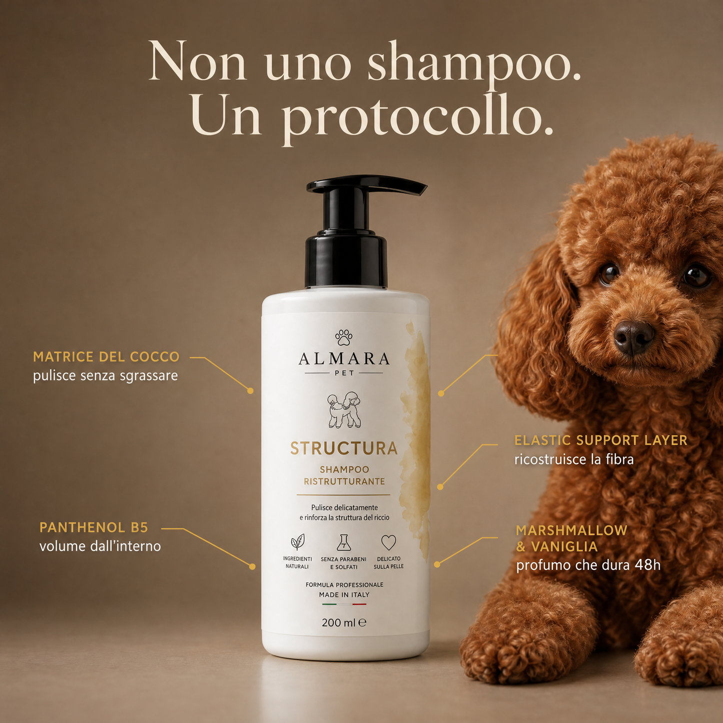 Almara Structura — feature callout